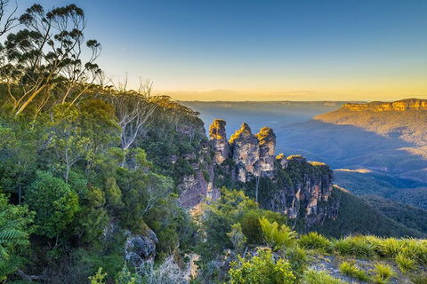 Blue Mountains Private Tour With Kangaroos & Koala Encounter - Attractions Brisbane 2