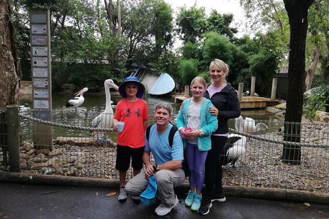 Blue Mountains Private Tour With Kangaroos & Koala Encounter - Attractions Brisbane 10