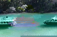 Brunswick Heads Rainforest Eco-Cruise