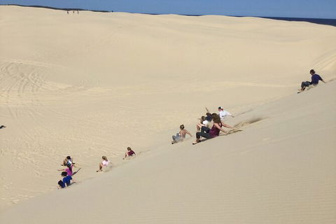 Port Stephens Bush, Beach And Sand Dune 4WD Passenger Tour - Attractions Brisbane 2