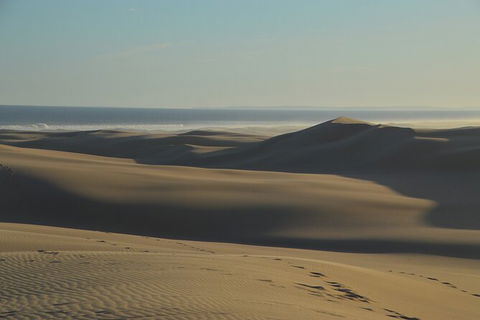 Port Stephens Bush, Beach And Sand Dune 4WD Passenger Tour - Attractions Brisbane 6