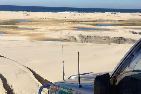 Port Stephens Bush, Beach And Sand Dune 4WD Passenger Tour - Attractions Brisbane 4