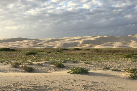Port Stephens Bush, Beach And Sand Dune 4WD Passenger Tour - Attractions Brisbane 3