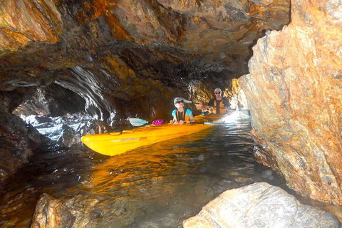 Whale Watching By Sea Kayak In Batemans Bay - Attractions Brisbane 4