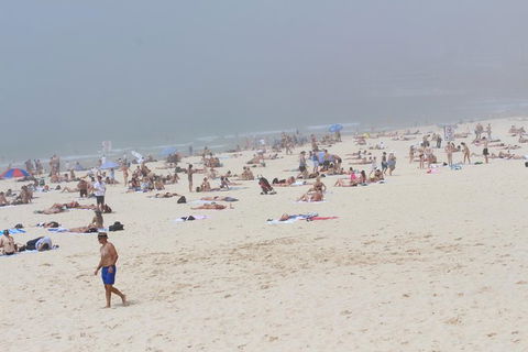 Sydney Shore Excursion: Half-Day Sydney City Highlights With Bondi Beach And Watsons Bay - Attractions Brisbane 3