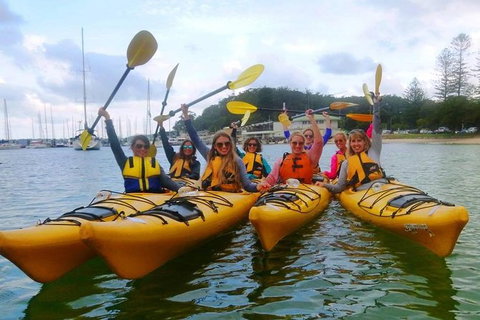 Half-Day Sydney Middle Harbour Guided Kayaking Eco Tour - Attractions Brisbane 1