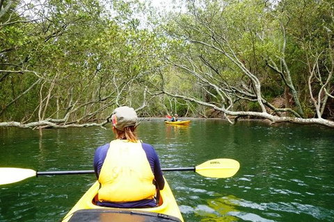 Half-Day Sydney Middle Harbour Guided Kayaking Eco Tour - Attractions Brisbane 0