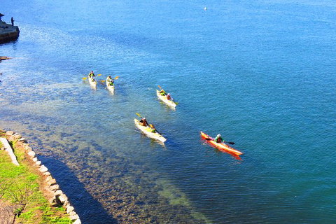 Half-Day Sydney Middle Harbour Guided Kayaking Eco Tour - Attractions Brisbane 8