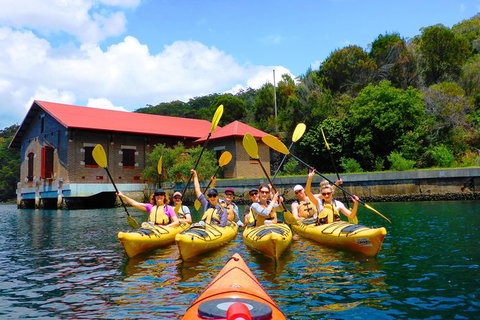 Half-Day Sydney Middle Harbour Guided Kayaking Eco Tour - Attractions Brisbane 4