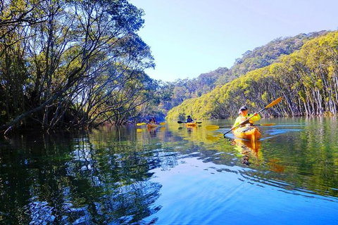 Half-Day Sydney Middle Harbour Guided Kayaking Eco Tour - Attractions Brisbane 5