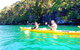 Half-Day Sydney Middle Harbour Guided Kayaking Eco Tour - thumb 9