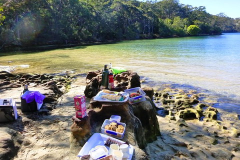 Half-Day Sydney Middle Harbour Guided Kayaking Eco Tour - Attractions Brisbane 6