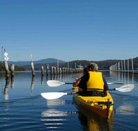 Batemans Bay Oyster Tasting Kayak Tour - Attractions Brisbane