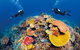 Agincourt Reef - thumb 0