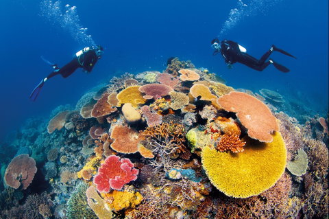 Agincourt Reef - Attractions Brisbane 0