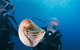 Agincourt Reef - thumb 1