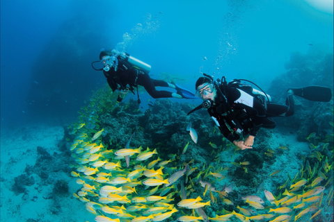 Agincourt Reef - Attractions Brisbane 2