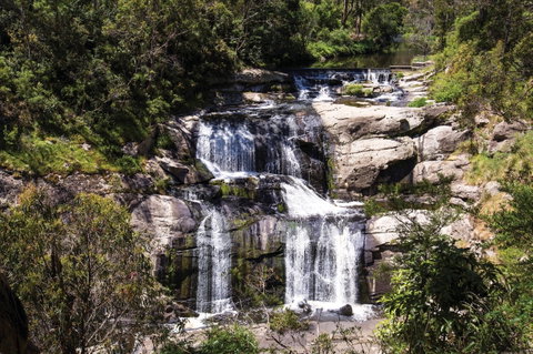 Agnes Falls Scenic Reserve - Attractions Brisbane 0