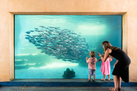 AQWA The Aquarium Of Western Australia - Attractions Brisbane 0