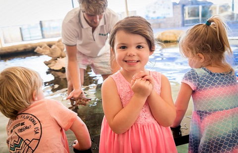 AQWA The Aquarium Of Western Australia - Attractions Brisbane 2