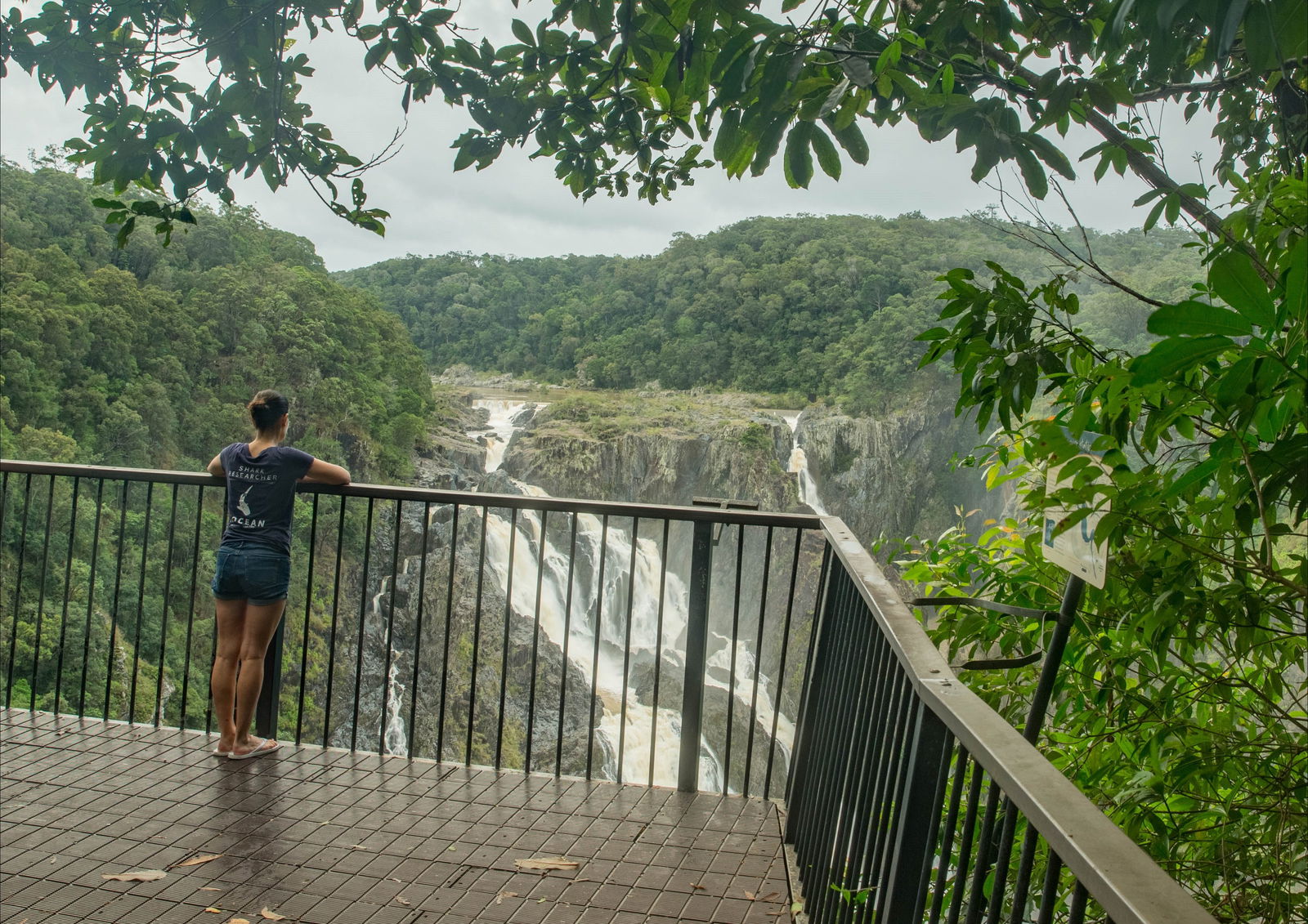  Attractions Brisbane