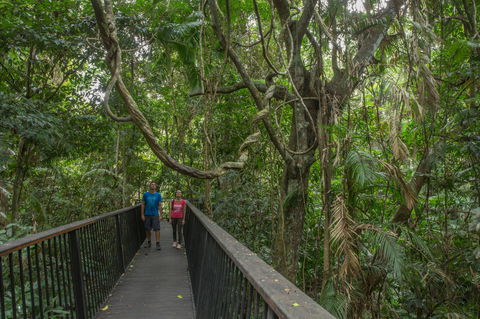 Barron Gorge National Park - Attractions Brisbane 2