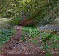 Bar Mountain circuit - Attractions Brisbane