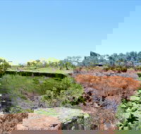 Bladensburg National Park - Attractions Brisbane