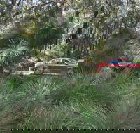 Bridgetown Jarrah Park - Attractions Brisbane