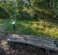 Browns Forest Loop Trail - Attractions Brisbane
