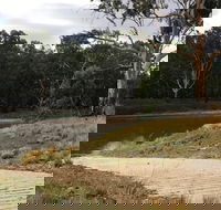 Buckingbong Reserve - Attractions Brisbane