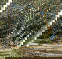 Bundanoon cycling route - Attractions Brisbane