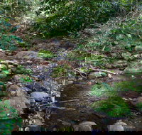 Cascades picnic area - Attractions Brisbane