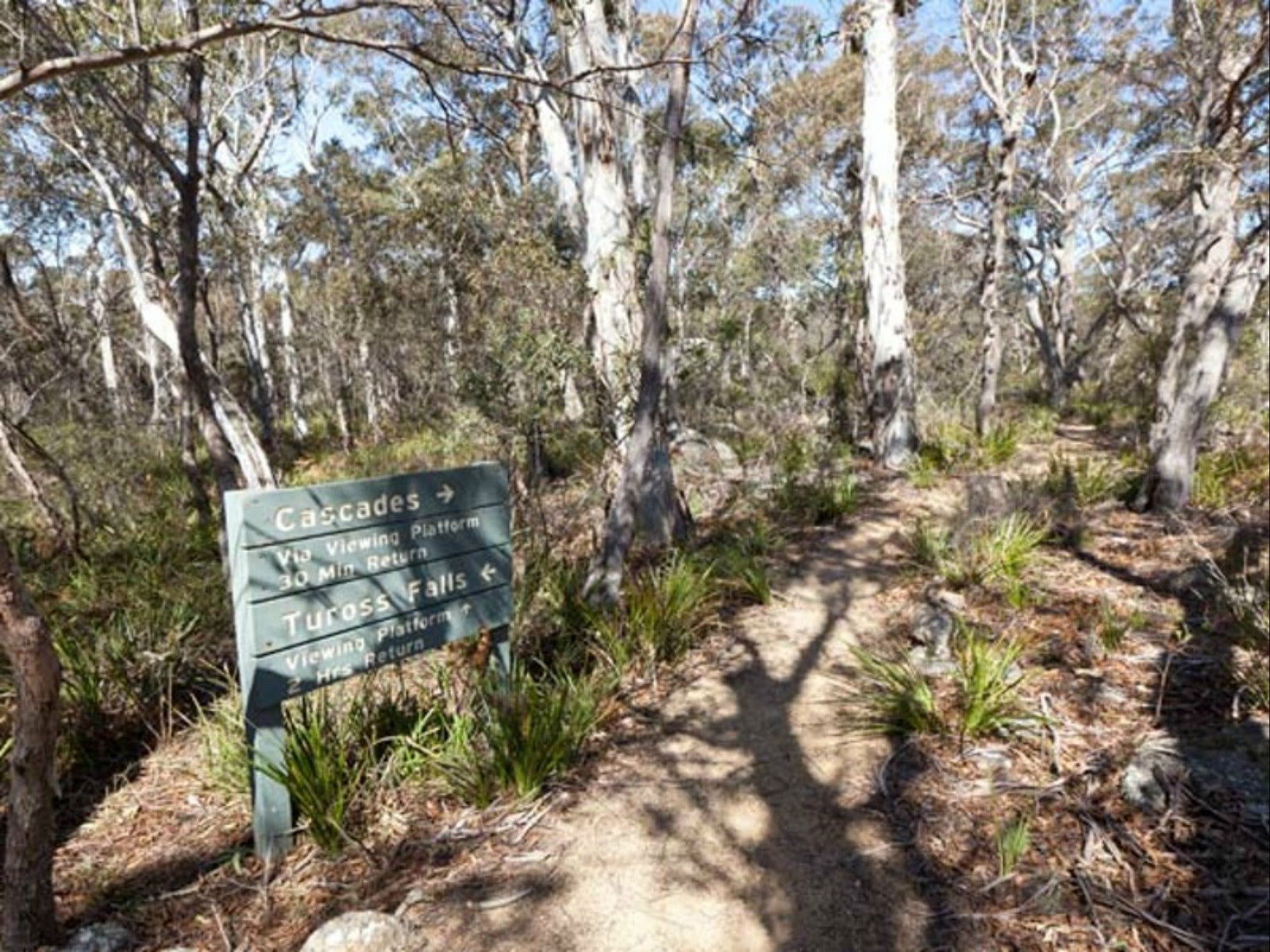 Countegany NSW Attractions Brisbane