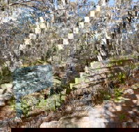 Cascades walking track and viewing platform - Attractions Brisbane