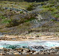 Dammerels History Walk - Attractions Brisbane