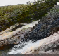 Davies Creek National Park and Dinden National Park - Attractions Brisbane