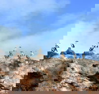 Dirk Hartog Island National Park - Attractions Brisbane