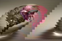 Eclectic Designs Glass Blowing Studio