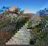 Evans Crown Nature Reserve - Attractions Brisbane