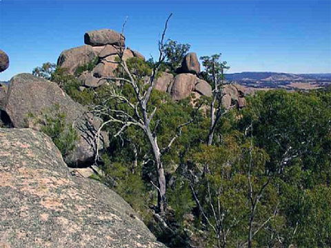 Evans Crown Nature Reserve - Attractions Brisbane 0