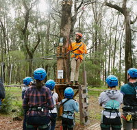 Forest Adventures South West - Attractions Brisbane
