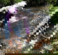 Fossicking - Attractions Brisbane