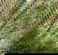 Gap Beach Walking Track - Attractions Brisbane