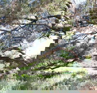 Gathercole Nature Reserve - Attractions Brisbane