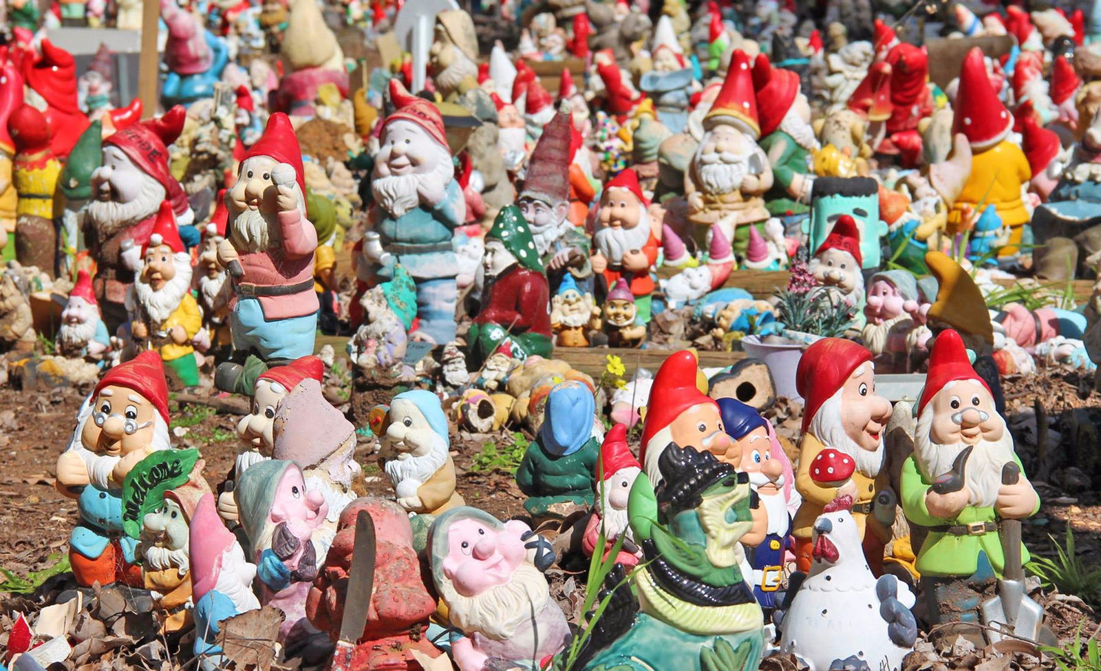 Wellington Mill WA Attractions Brisbane