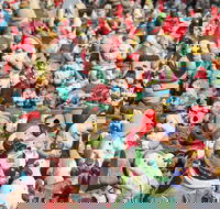 Gnomesville - Attractions Brisbane