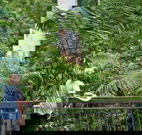 Grandis Picnic Area - Attractions Brisbane