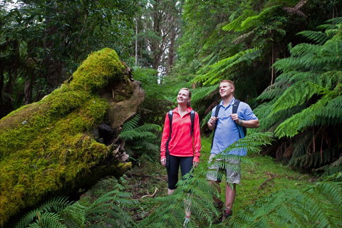 Grand Strzelecki Track - Attractions Brisbane 0