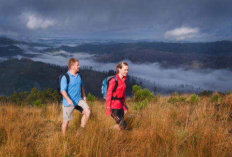 Grand Strzelecki Track - Attractions Brisbane 1